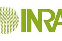 Informaticiens : 23 postes vous attendent à l'INRA