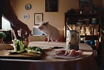 [La Créa de la semaine] « Tout est bon sans le cochon », nouvelle campagne de La Vie