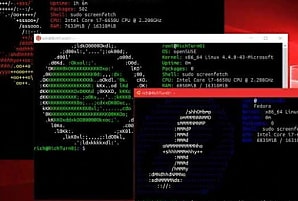 Build 2025 : WSL, un passage symbolique en open source