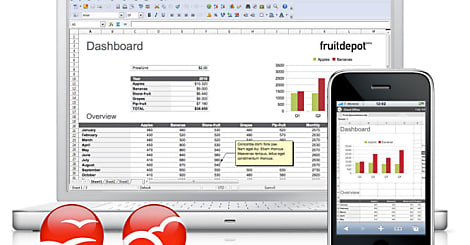 Suite bureautique : Oracle lance OpenOffice 3.3 en version payante