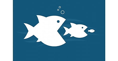 Food Chain Illustration
