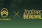 Citroën et le zoo de Beauval s'associent pour sensibiliser à la  [...]